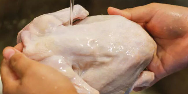 Tavuk eti üretimi yüzde 11,6 arttı