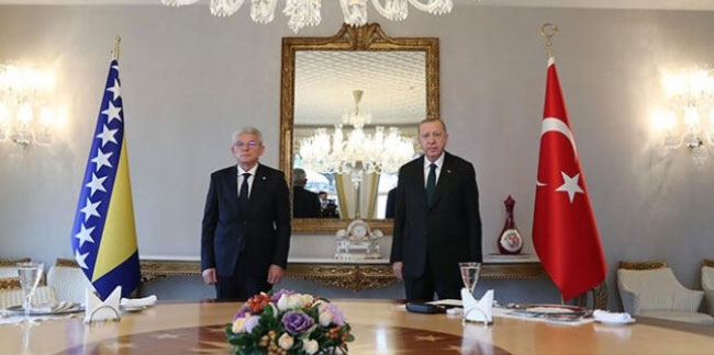 Cumhurbaşkanı Erdoğan, Caferoviç'i kabul etti