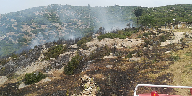 Bozdoğan’da makilik alanda yangın