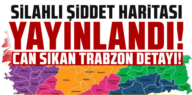 Silahlı Şiddet Haritasında can sıkan Trabzon detayı!