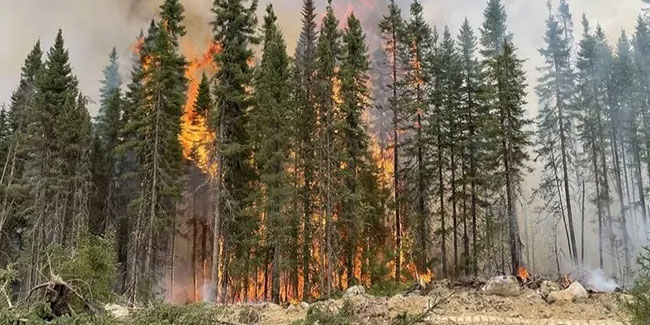 Kanada’da 5 bin 500 yangın çıktı
