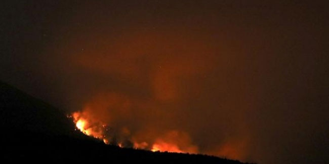 Kriz komitesi kuruldu! Patagonya ormanları 20 gündür yanıyor