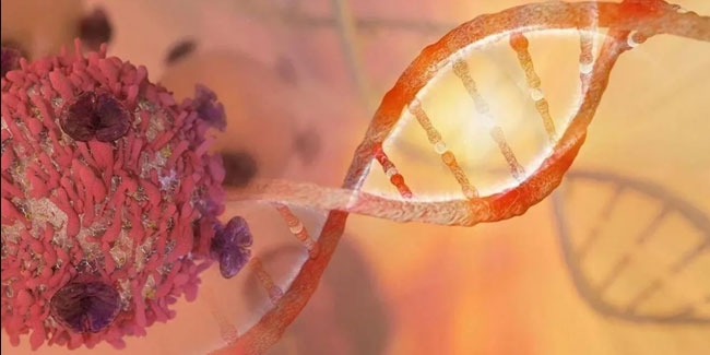 Dünyanın ilk DNA aşısına onay çıktı