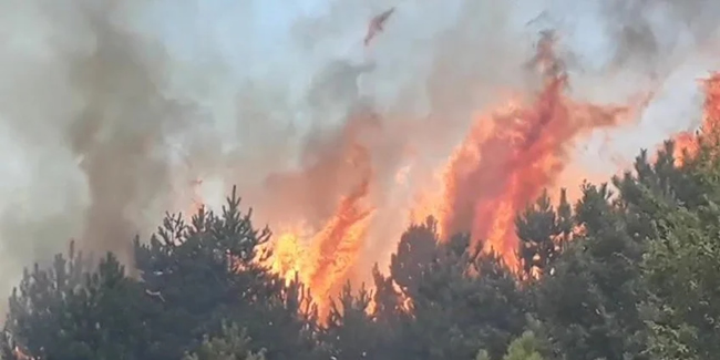 Kastamonu’da 200 hektarlık ormanlık alanda yangın!