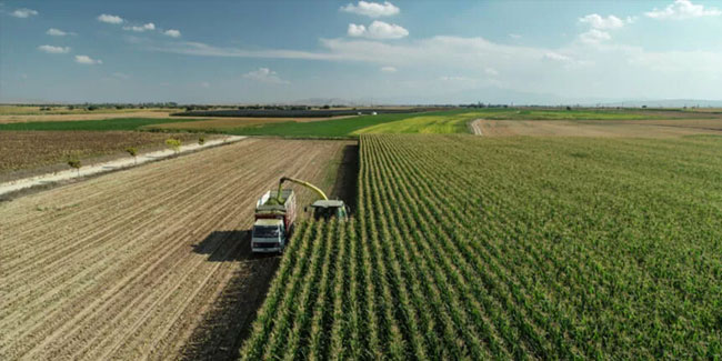 Tarım-ÜFE aylık yüzde 11,08 arttı