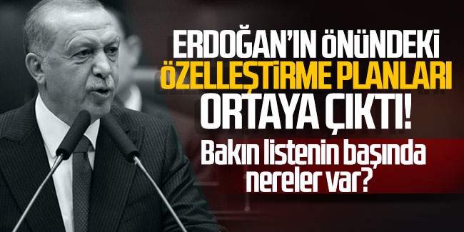 İşte Erdoğan'ın önündeki ''özelleştirme'' listesi