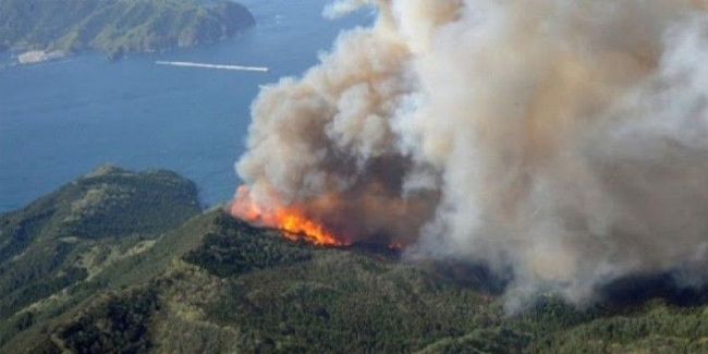 Japonya’da devam eden orman yangınında 100 hektarlık alan küle döndü