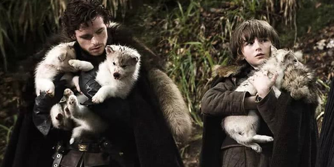 Game of Thrones'ta Bran'in köpeği Summer kansere yenik düştü