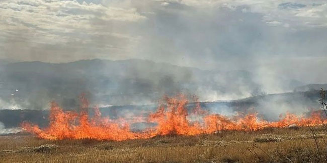 Elazığ’da korkutan anız yangını