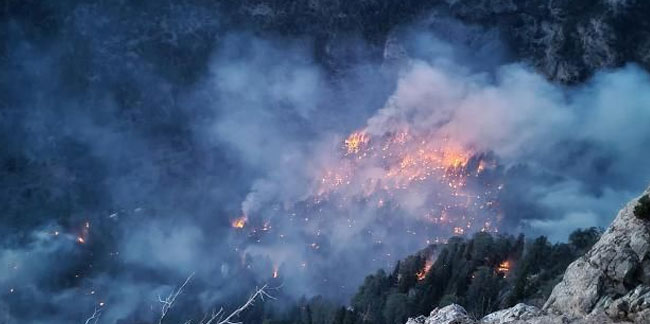 Mersin alevler içinde: Orman yangını 3 gündür söndürülemiyor