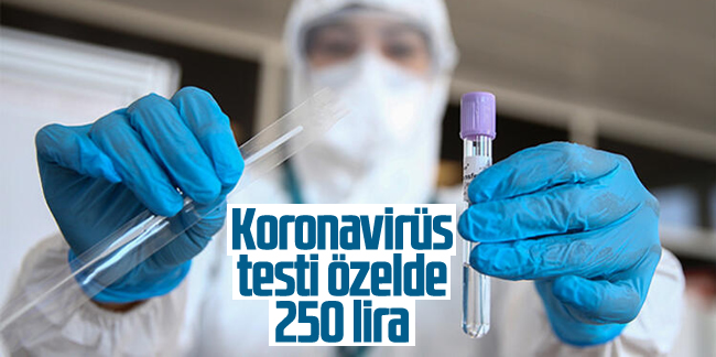 Koronavirüs testi özelde 250 lira olacak!