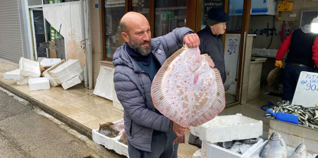 Karadeniz'de avlanan 8 kiloluk kalkan balığı 5 bin liraya satıldı