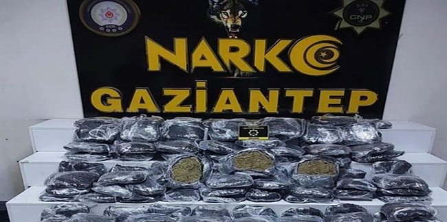 Gaziantep'te polis ekiplerinden uyuşturucu operasyonu! 51 kilo skunk ele geçirildi