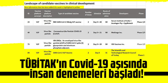TÜBİTAK'ın Covid-19 aşısında insan denemeleri başladı!