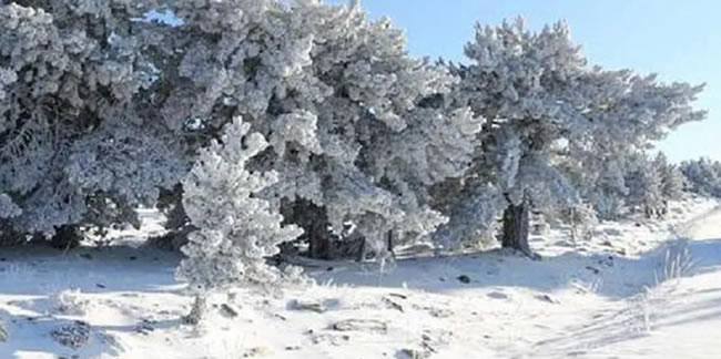 Muğla'nın 3 ilçesinde kar yağışı
