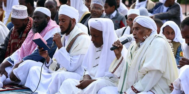 Etiyopya hükümetine çağrı: Müslümanlara yapılan saldırıları soruştur