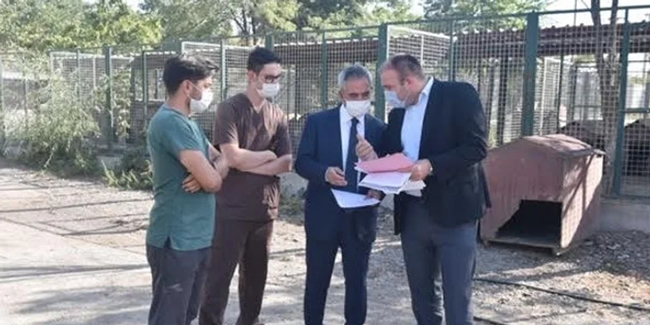 Ankara'nın barınaklarında iyileştirme çalışmaları sürüyor