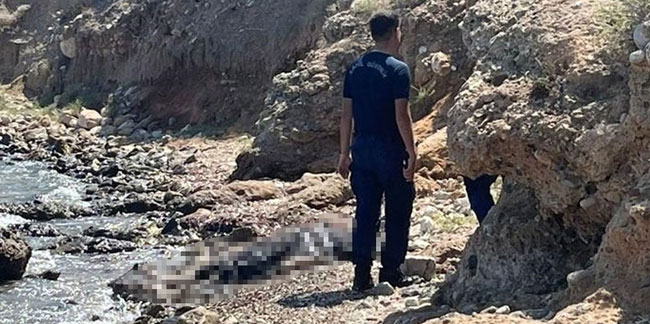 Datça'da sahilde vatandaşlar ceset buldu!