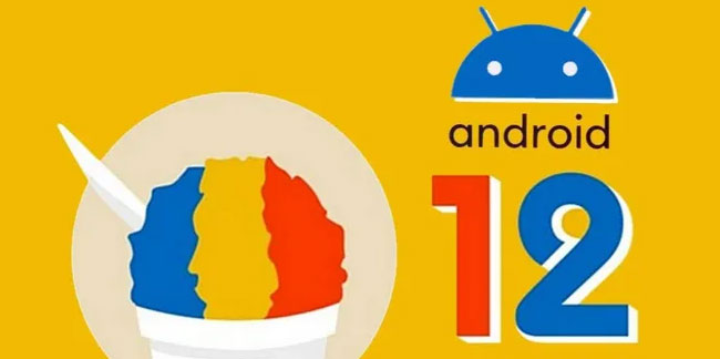 Android 12 Dahili Beta'ya Geçen Xiaomi Cihazları!