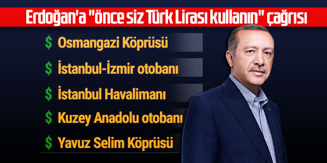 Erdoğan'a ''önce siz Türk Lirası kullanın'' çağrısı