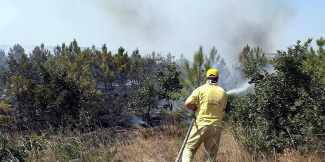 Edirne'de bir araçtan ormana sıçrayan yangın kontrol altında