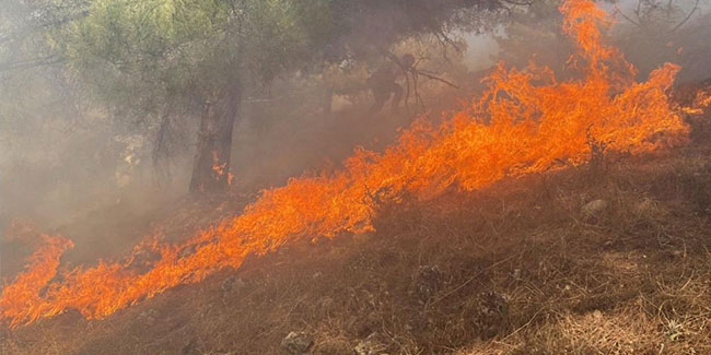 Ormana sıçrayan yangın 3 saatte kontrol altına alındı