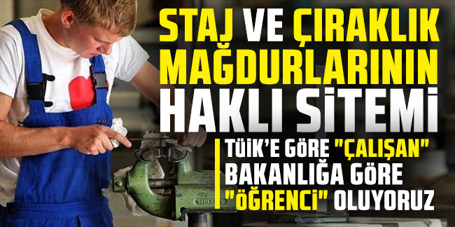 Staj ve çıraklık mağdurlarının haklı sitemi: TÜİK'e göre "çalışan" Bakanlığa göre "öğrenci" oluyoruz