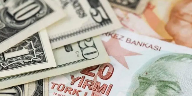 Türk Lirası'nın önlenemeyen düşüşü! Yüzde 90'ı aştı
