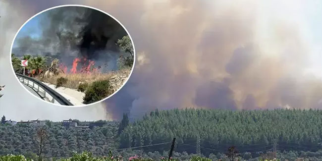 Muğla'daki yangının nedeni ortaya çıktı! Soruşturma başlatıldı
