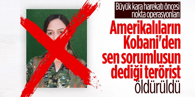 MİT, PKK/YPG'nin sözde Ayn İsa eyaleti sorumlusunu öldürdü