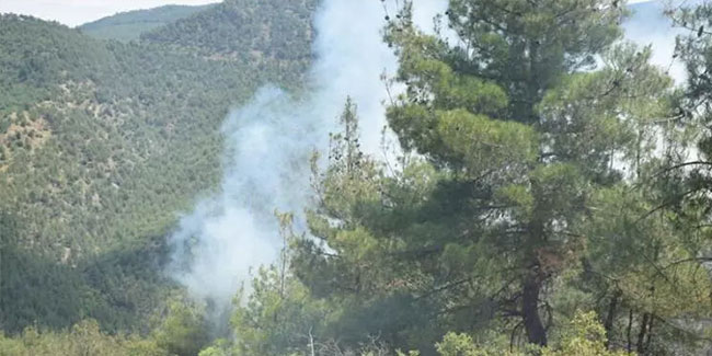 Eskişehir’de orman yangını: Ekipler müdahale ediyor