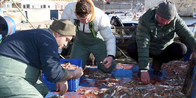 Balıkçılar umutlarını karidese bağladı
