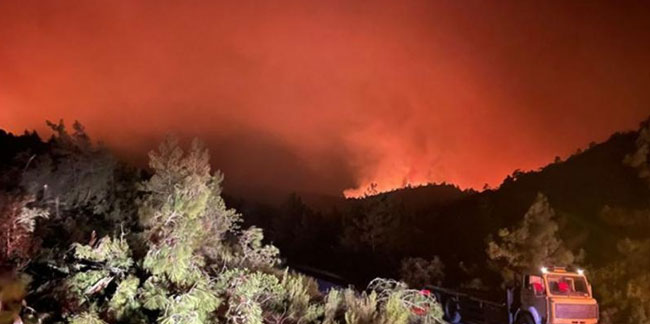 Marmaris'te çıkan yangının bilançosu belli oldu: Tam 4 bin 500 hektar