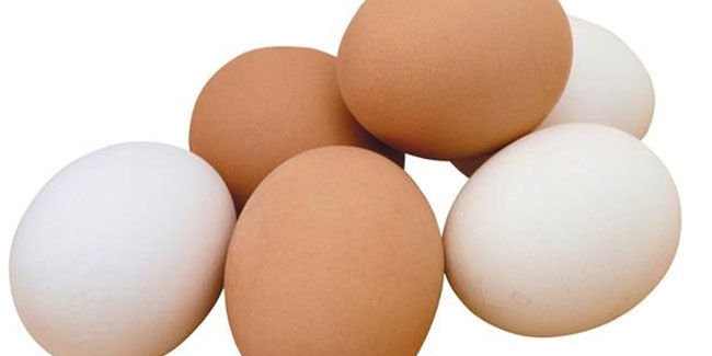 Yumurta üretimi Şubat’ta azaldı