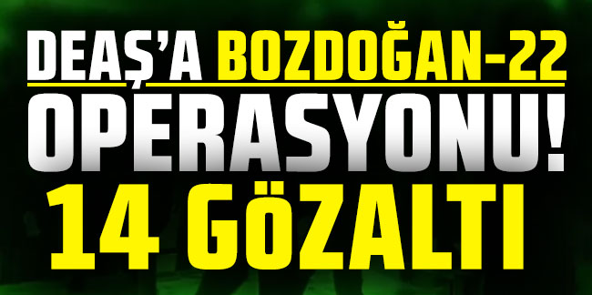 Dört ilde DEAŞ'a "Bozdoğan-22" operasyonu: 14 gözaltı