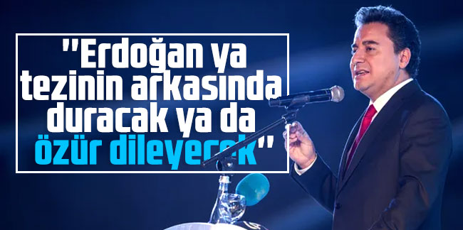 Ali Babacan: ''Erdoğan ya tezinin arkasında duracak ya da özür dileyecek''