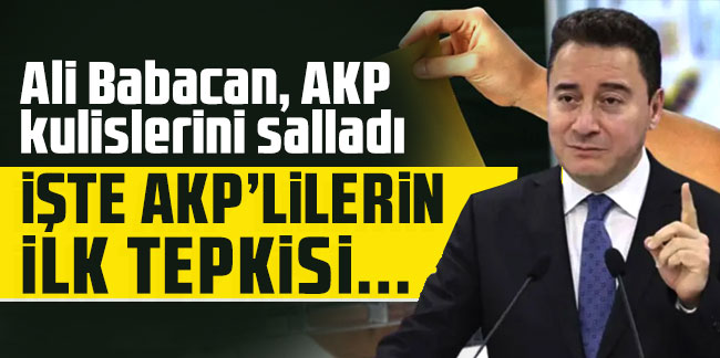 Ali Babacan, AKP kulislerini salladı: İşte AKP'lilerin ilk tepkisi...