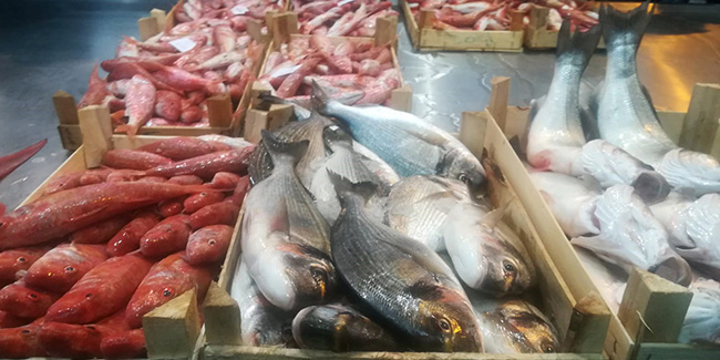 İzmir’de balık bereketi 