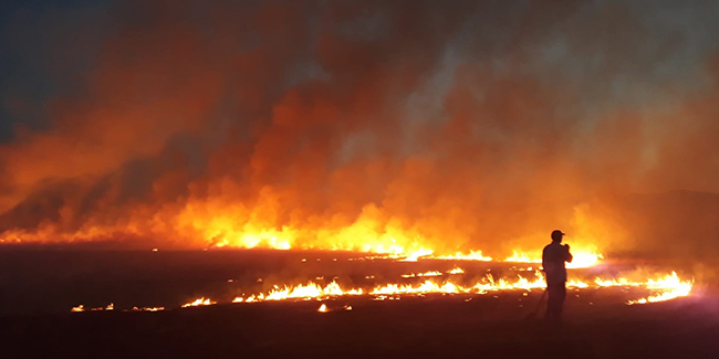Bingöl’de yangın, 300 dönüm kül oldu 