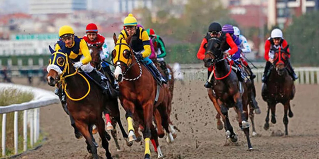 TJK açıkladı! İzmir'deki at yarışları ertelendi!