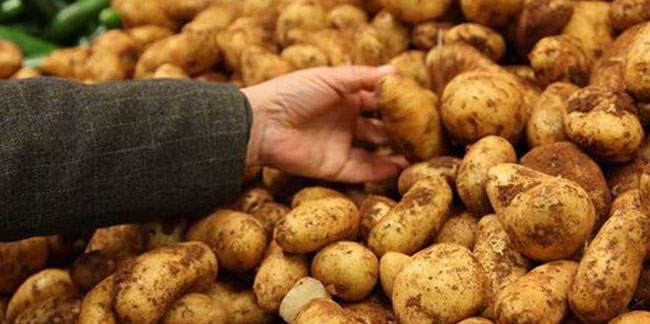 Patatesin fiyatı yüzde 45 arttı!