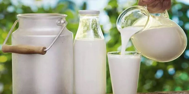 Çiğ süt desteği ödemelerine yönelik esaslar belli oldu