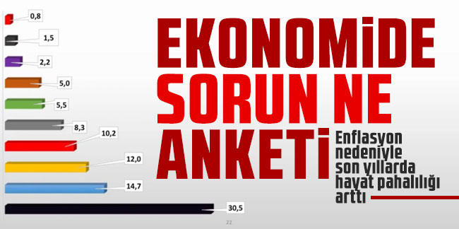 ASAL Araştırma'dan 'Türkiye ekonomisinin en önemli sorunu nedir' anketi