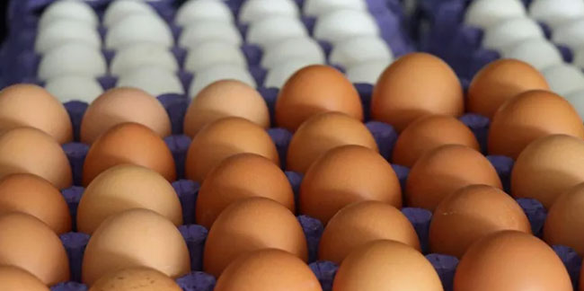 Yumurtanın fiyatı bir yılda ikiye katlandı!