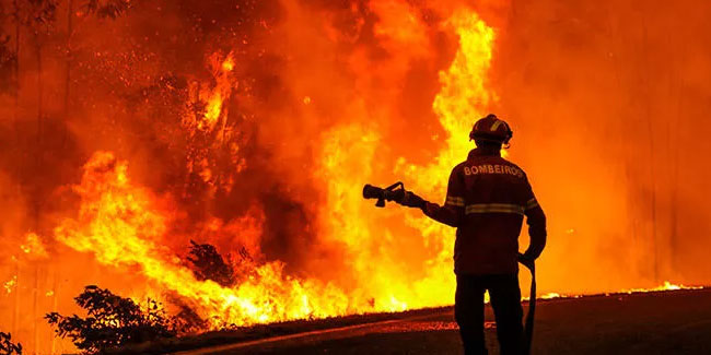 Portekiz’de 14 noktada orman yangını