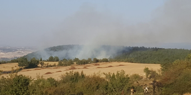 Kütahya'daki orman yangınında 1 hektarlık alan yandı