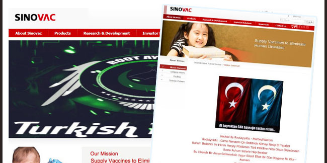 Türk bilgisayar korsanları Sinovac'in sitesini çökerti!