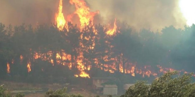 Manavgat'taki orman yangınında can kaybı 3'e yükseldi