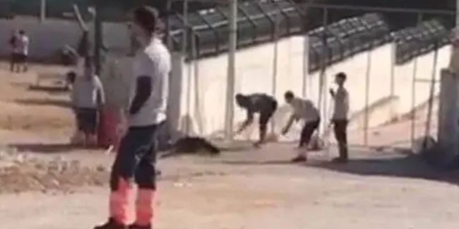 Türkiye gündemine oturmuştu! Konya'daki barınak vahşetinde cezalar belli oldu