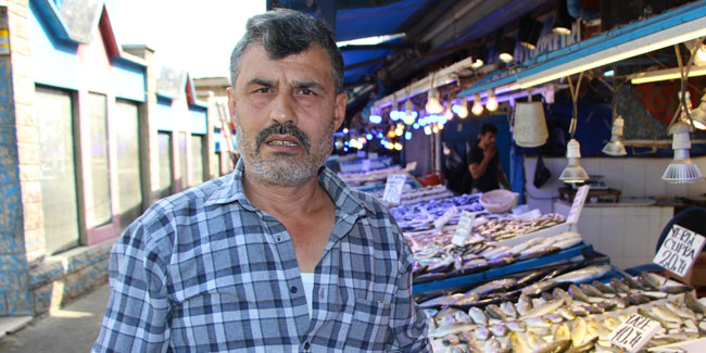 Hamsi fiyatı Borsa İstanbul'u aratmıyor